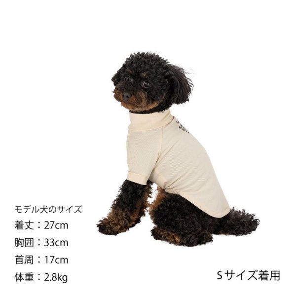 画像21:  【10％OFF】 SKIN TIGHT COOL T-SHIRT  スキンタイトクールＴシャツ (21)