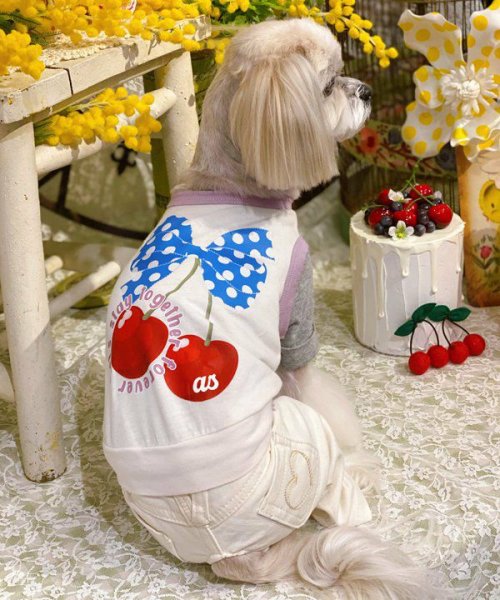 画像12:  【30%OFF】 【as know as de wan】Nずっと一緒にTK (12)