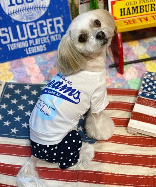 画像3:  【30％OFF】 【as know as de wan】 ＮルーズリードットＰＴ (3)