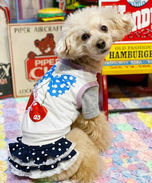 画像6:  【30%OFF】 【as know as de wan】Nずっと一緒にTK (6)