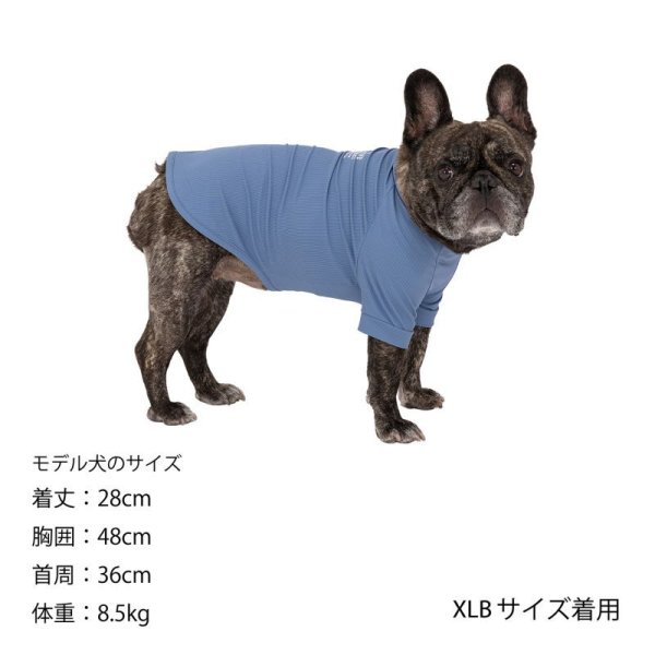 画像26:  【10％OFF】 SKIN TIGHT COOL T-SHIRT  スキンタイトクールＴシャツ (26)