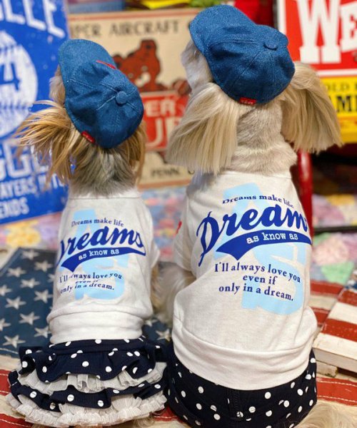 画像4:  【30％OFF】 【as know as de wan】 ＮルーズリードットＰＴ (4)