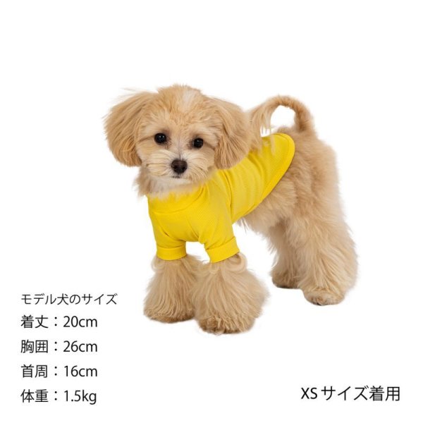 画像20:  【10％OFF】 SKIN TIGHT COOL T-SHIRT  スキンタイトクールＴシャツ (20)