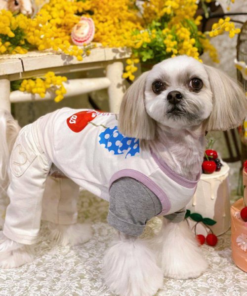 画像13:  【30%OFF】 【as know as de wan】Nずっと一緒にTK (13)