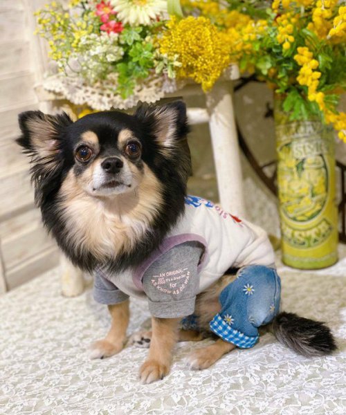 画像14:  【30%OFF】 【as know as de wan】Nずっと一緒にTK (14)