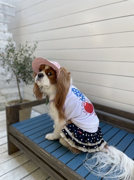 画像4:  【30%OFF】 【as know as de wan】Nずっと一緒にTK (4)