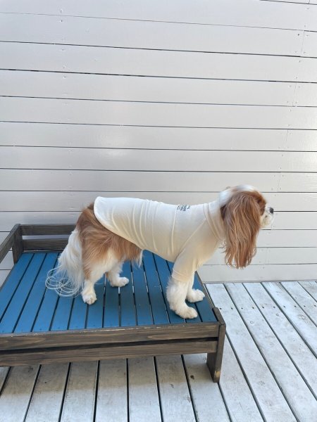 画像32:  【10％OFF】 SKIN TIGHT COOL T-SHIRT  スキンタイトクールＴシャツ (32)