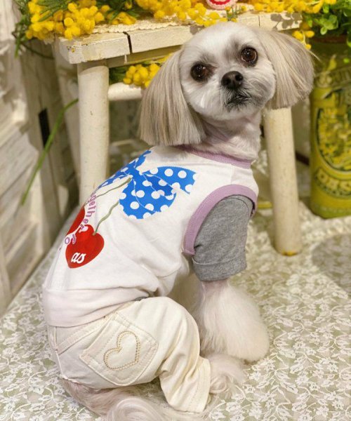 画像10:  【30%OFF】 【as know as de wan】Nずっと一緒にTK (10)