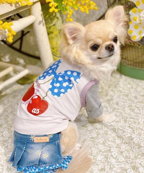 画像9:  【30%OFF】 【as know as de wan】Nずっと一緒にTK (9)