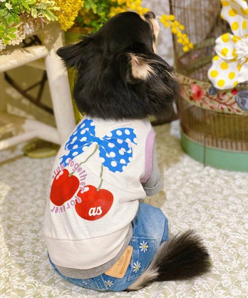 画像15:  【30%OFF】 【as know as de wan】Nずっと一緒にTK (15)