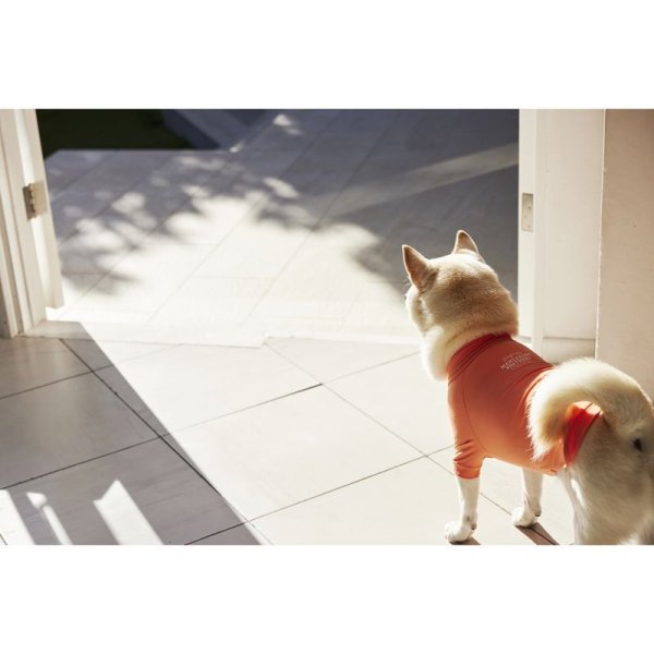 画像31:  【10％OFF】 SKIN TIGHT COOL T-SHIRT  スキンタイトクールＴシャツ (31)