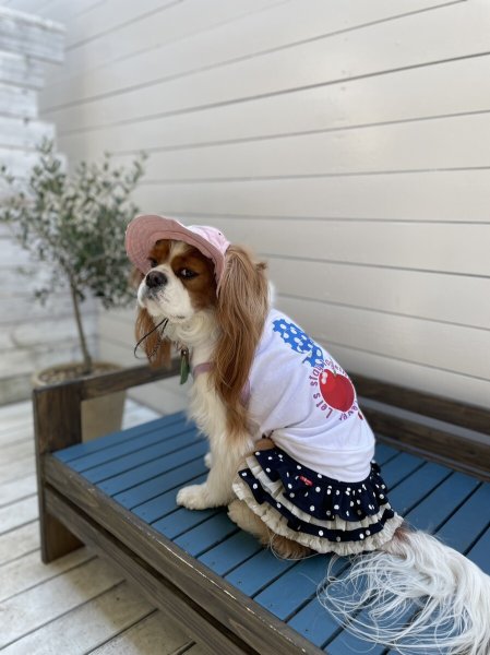 画像5:  【30%OFF】 【as know as de wan】Nずっと一緒にTK (5)