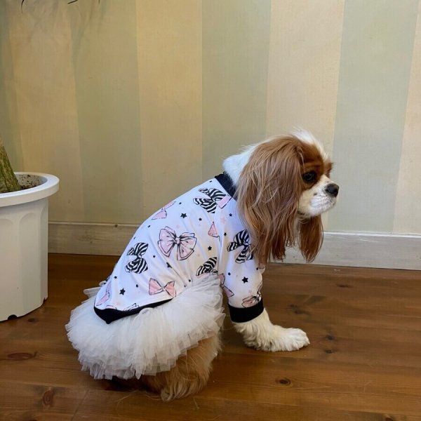 画像14:  30％OFF 【CAVA TEE】COCO RIBBON (14)