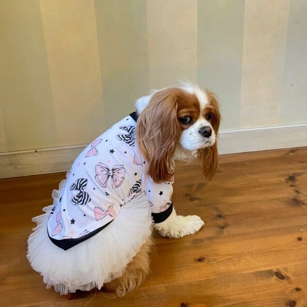 画像15:  30％OFF 【CAVA TEE】COCO RIBBON (15)