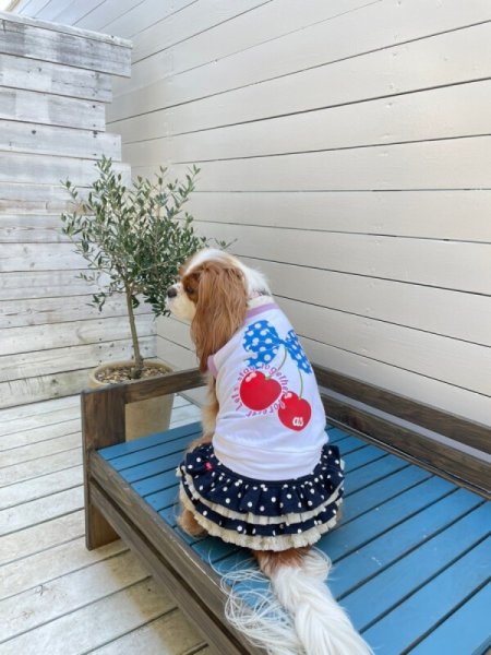 画像2:  【30%OFF】 【as know as de wan】Nずっと一緒にTK (2)