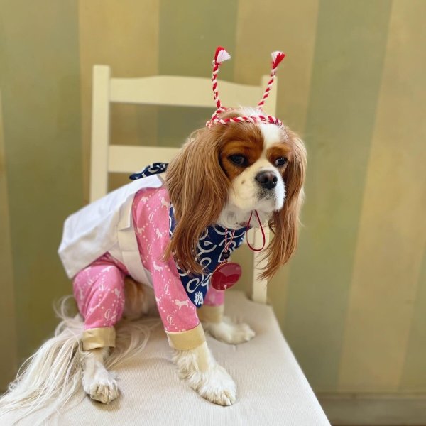 画像3: 【10%OFF】ミニ盃 (3)