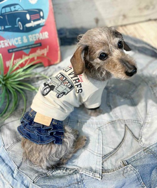 画像13:  【30％OFF】 【as know as de wan】Ｎ☆ＧＯＯＤＶＩＢＥＳＴ (13)