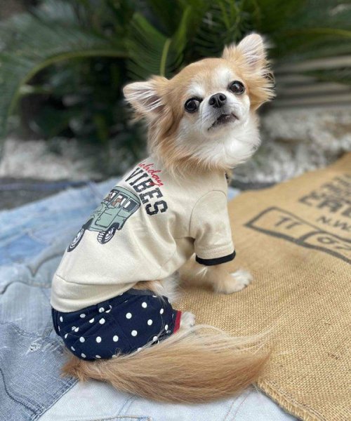 画像5:  【30％OFF】 【as know as de wan】Ｎ☆ＧＯＯＤＶＩＢＥＳＴ (5)