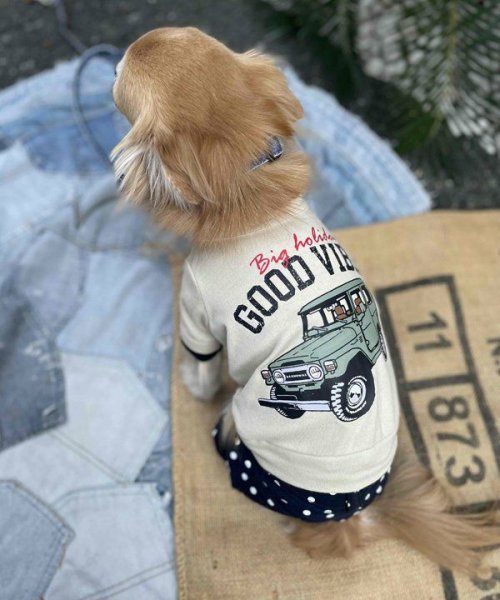 画像6:  【30％OFF】 【as know as de wan】Ｎ☆ＧＯＯＤＶＩＢＥＳＴ (6)