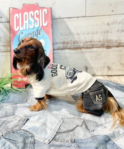 画像11:  【30％OFF】 【as know as de wan】Ｎ☆ＧＯＯＤＶＩＢＥＳＴ (11)