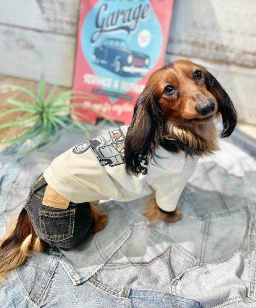 画像10:  【30％OFF】 【as know as de wan】Ｎ☆ＧＯＯＤＶＩＢＥＳＴ (10)