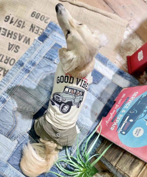 画像9:  【30％OFF】 【as know as de wan】Ｎ☆ＧＯＯＤＶＩＢＥＳＴ (9)