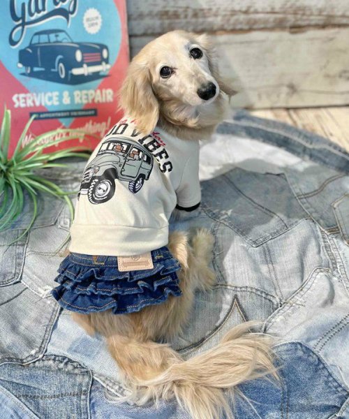 画像12:  【30％OFF】 【as know as de wan】Ｎ☆ＧＯＯＤＶＩＢＥＳＴ (12)