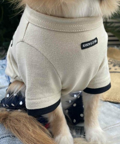 画像7:  【30％OFF】 【as know as de wan】Ｎ☆ＧＯＯＤＶＩＢＥＳＴ (7)