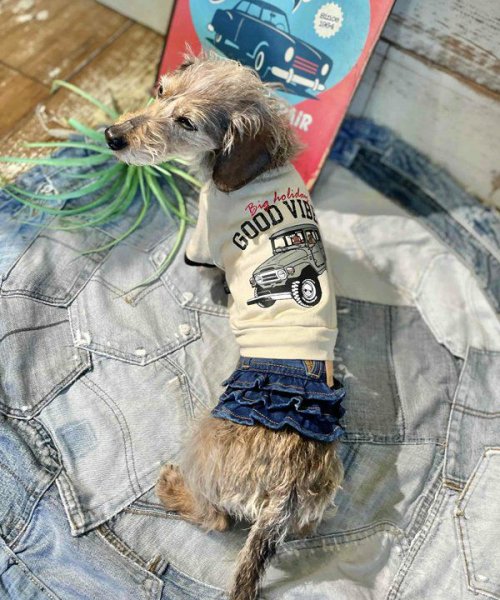 画像14:  【30％OFF】 【as know as de wan】Ｎ☆ＧＯＯＤＶＩＢＥＳＴ (14)