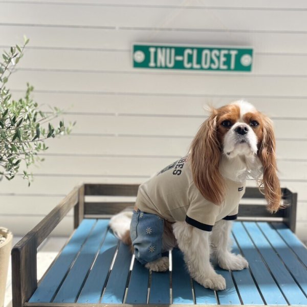 画像4:  【30％OFF】 【as know as de wan】Ｎ☆ＧＯＯＤＶＩＢＥＳＴ (4)