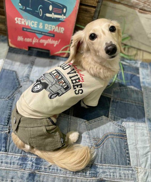 画像8:  【30％OFF】 【as know as de wan】Ｎ☆ＧＯＯＤＶＩＢＥＳＴ (8)