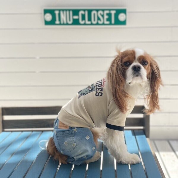 画像2:  【30％OFF】 【as know as de wan】Ｎ☆ＧＯＯＤＶＩＢＥＳＴ (2)