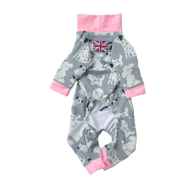 画像2: 【キャバスーツ LIMITED】フレンドパーク (2)