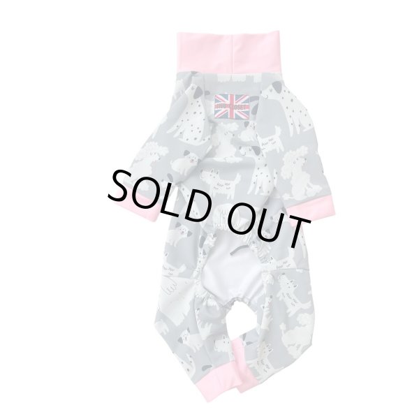 画像2: 【キャバスーツ LIMITED】フレンドパーク (2)