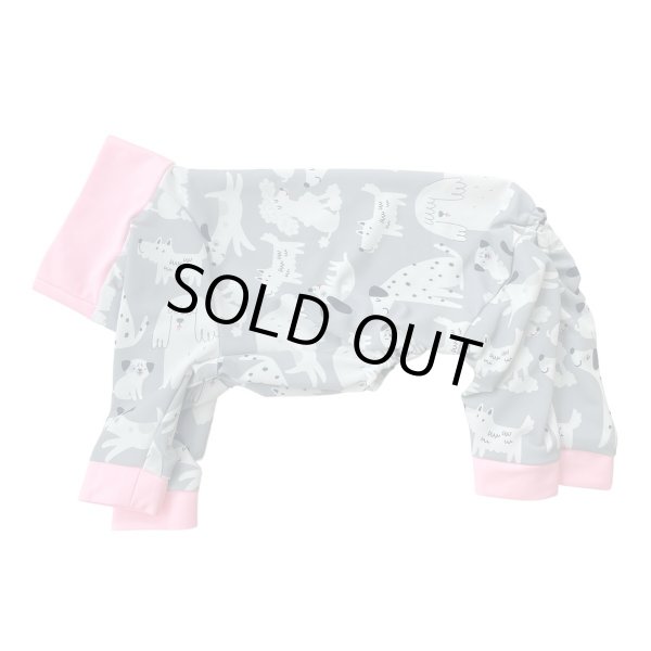 画像1: 【キャバスーツ LIMITED】フレンドパーク (1)