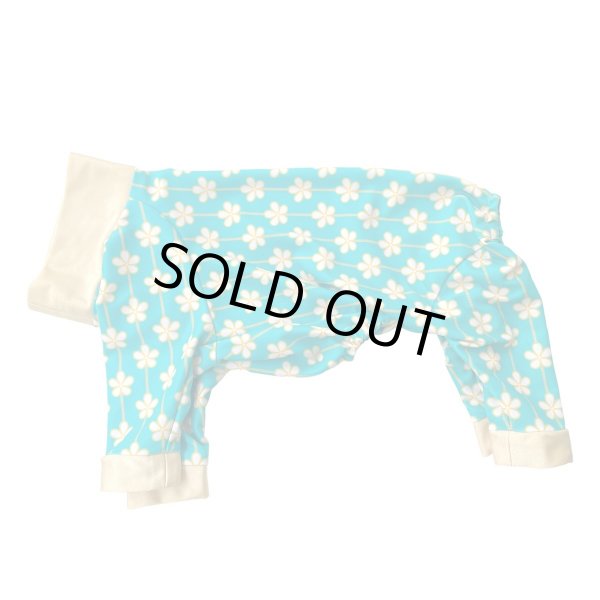 画像1: 【10%OFF】 人気★再販 【キャバスーツ LIMITED】アルハンブラ (1)