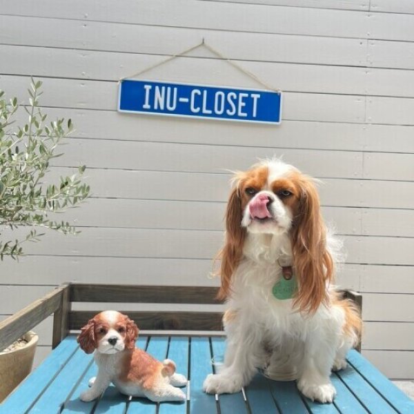 画像3: 【置物】ストレッチキャバリア (3)