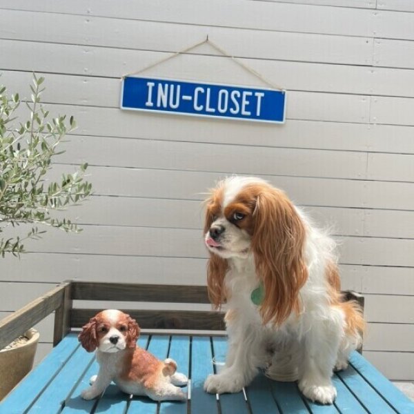 画像4: 【置物】ストレッチキャバリア (4)