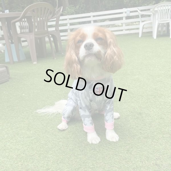 画像3: 【キャバスーツ LIMITED】フレンドパーク (3)