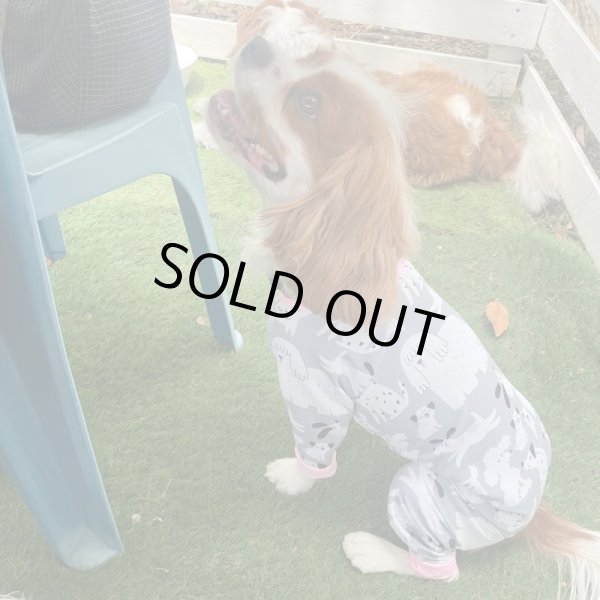 画像5: 【キャバスーツ LIMITED】フレンドパーク (5)