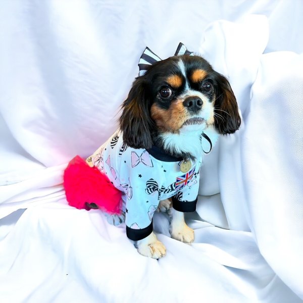 画像2:  30％OFF 【CAVA TEE】COCO RIBBON (2)