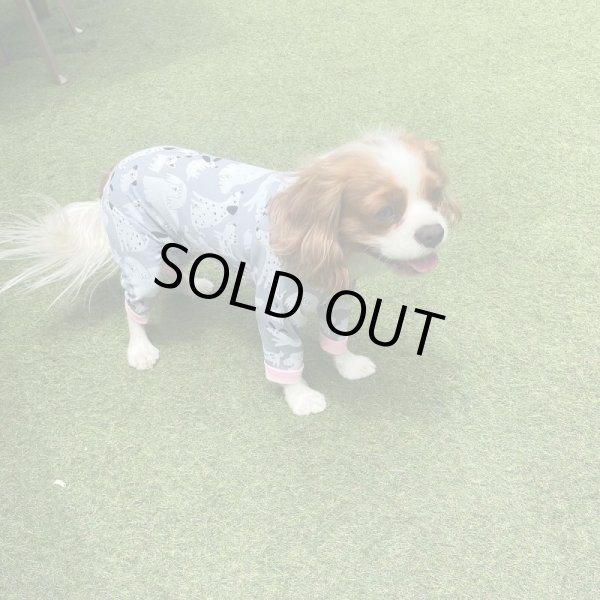 画像4: 【キャバスーツ LIMITED】フレンドパーク (4)