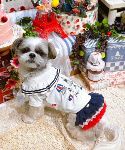 画像11:  【30％OFF】 【as know as de wan】ＮオーシャンチュチュＳＫ (11)