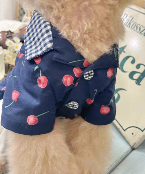 画像8:  【30％OFF】 【as know as de wan】ＮチェリーギンガムＳＨ (8)