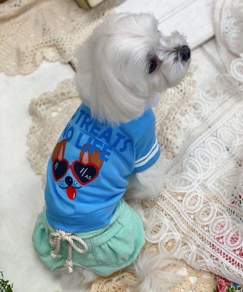 画像4:  【30%OFF】 【as know as de wan】 NオーシャンパイルSPT (4)