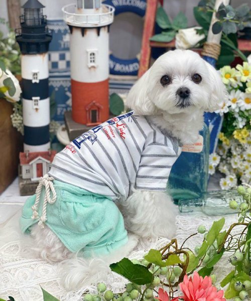 画像5:  【30%OFF】 【as know as de wan】 NオーシャンパイルSPT (5)