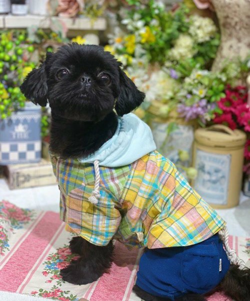 画像9:  【30%OFF】 【as know as de wan】 NオーシャンパイルSPT (9)