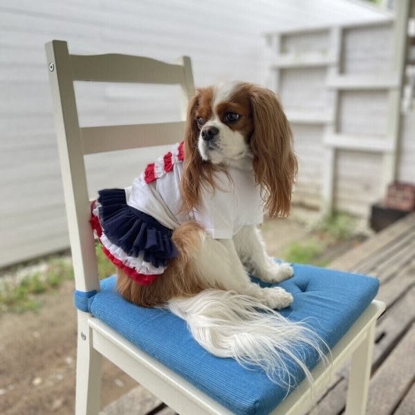 画像21:  【30％OFF】 【as know as de wan】ＮオーシャンチュチュＳＫ (21)