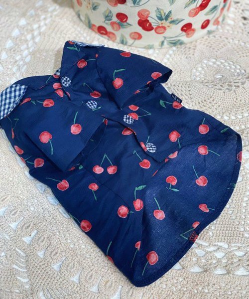 画像2:  【30％OFF】 【as know as de wan】ＮチェリーギンガムＳＨ (2)