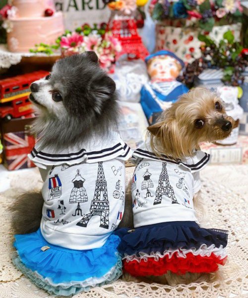 画像8:  【30％OFF】 【as know as de wan】ＮオーシャンチュチュＳＫ (8)